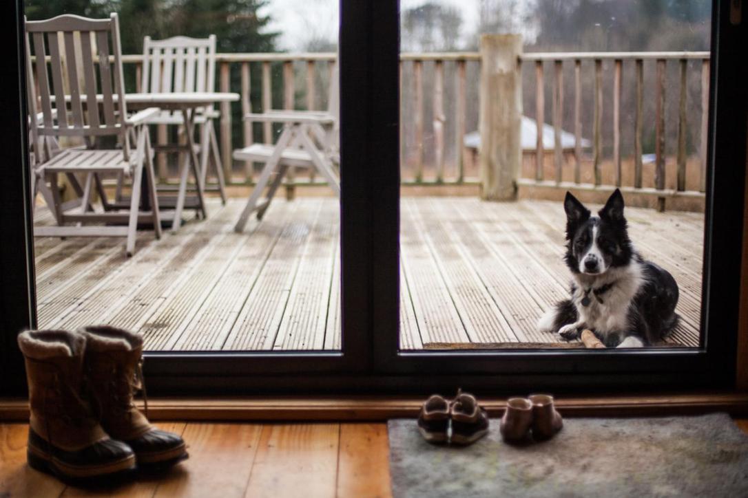 ヘレフォード Coed Y Marchog Woodland Retreatヴィラ エクステリア 写真