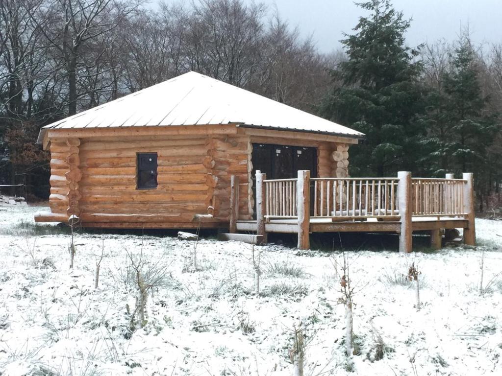 ヘレフォード Coed Y Marchog Woodland Retreatヴィラ エクステリア 写真